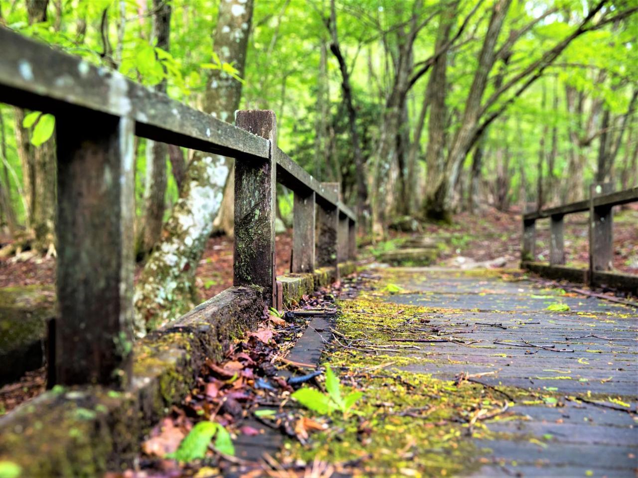 峰山高原ホテルリラクシア 神河町 エクステリア 写真
